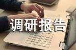 关于高中生社会调研报告